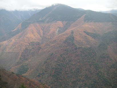しらびそ高原2011,11 002