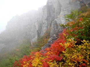 雷鳥岩付近の紅葉