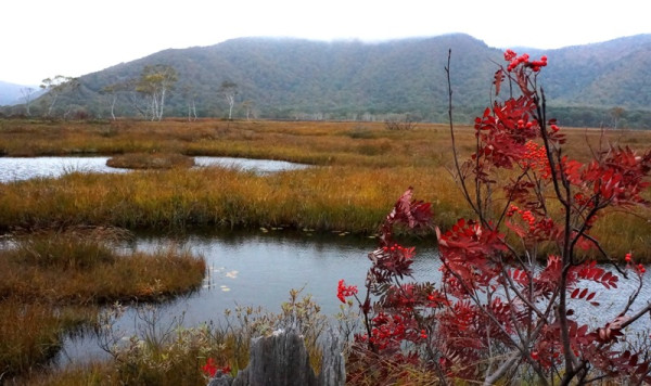 ④池塘と紅葉
