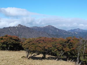 入道ヶ岳2016 ,1,9 008